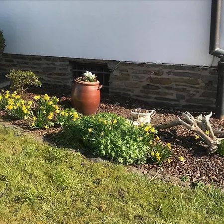 Ferienwohnung Sonnen - Terrasse Bernkastel-Kues Zewnętrze zdjęcie