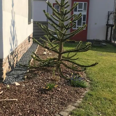 Ferienwohnung Sonnen - Terrasse Bernkastel-Kues Zewnętrze zdjęcie
