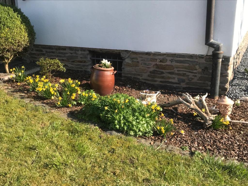 Appartement Sonnen - Terrasse