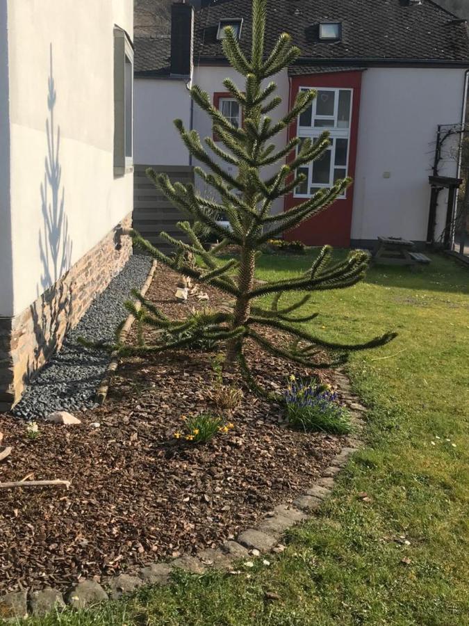 Sonnen - Terrasse Appartement Verbandsgemeinde Bernkastel-Kues