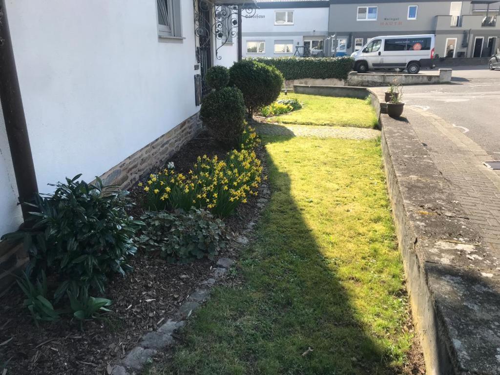 Apartment Sonnen - Terrasse Bernkastel-Kues